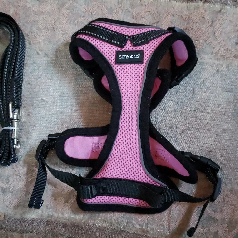Small cat harness with matching leash NWOT